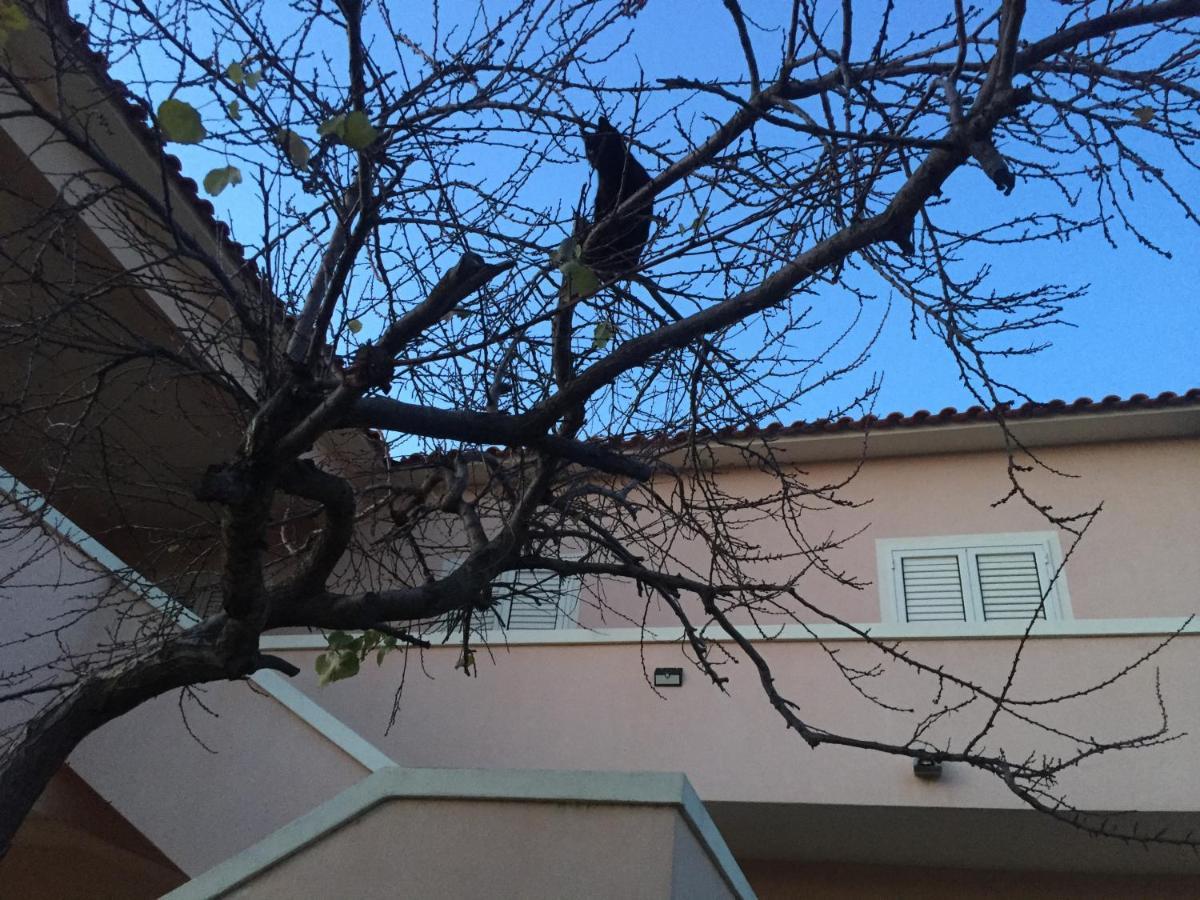 La Maison Di Zia Annina Olbia Kültér fotó