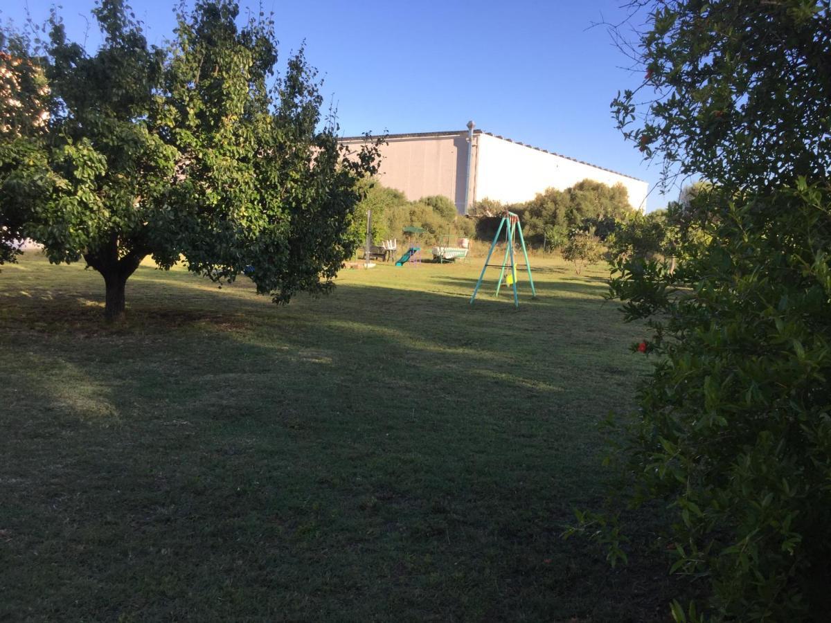 La Maison Di Zia Annina Olbia Kültér fotó