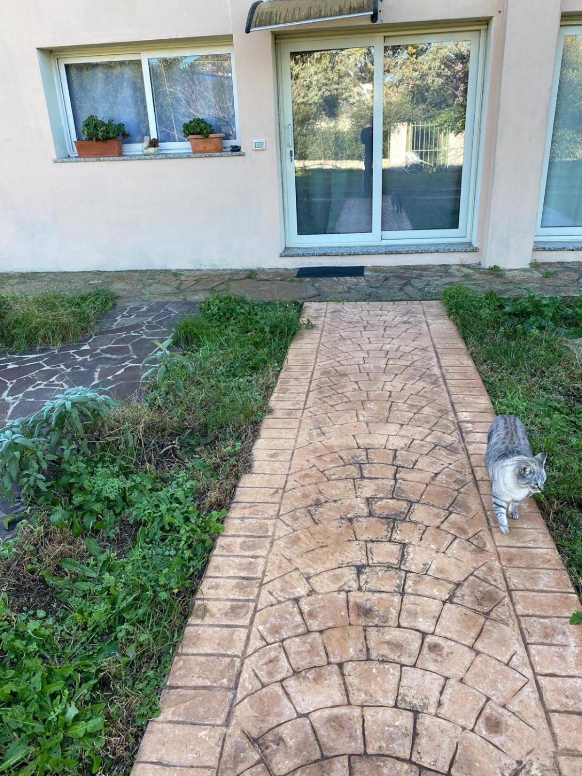 La Maison Di Zia Annina Olbia Kültér fotó